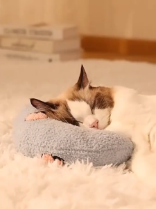 Pet U-Shape Pillow Cat Dog Sleeping Pillow Kitten Headrest Pillow Protect Cervical Spine Deep Sleep Cushion