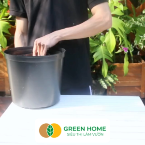 3 Chậu Vuông Trồng Cây Greenhome Nhiều Kích Thước Nhựa Cứng Thoát Nước Tốt Trồng Hoa Kiểng Lá