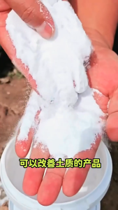 1kg Baking Soda Sodium Bicarbonate Fertilizer for Plant Baking Soda Prevent Pests Strong Growth High Yield for Vegetables Fruits