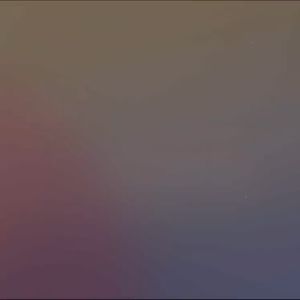 gỗ nén vàng lót chuồng cho hamster sóc nhím thỏ bọ - T3 PETS SHOP