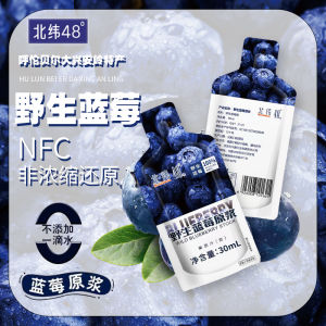 48 North Latitude Wild Blueberry Puree Non-Concentrated Flavored Fruit Nectar Boxed Snacks/Nuts/Local Specialties