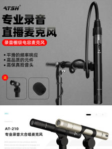 Stage Chorus Guitar Karaoke Song Recording Wired Microphone Stereo Professional Capacitor Mic for Instrument Applications