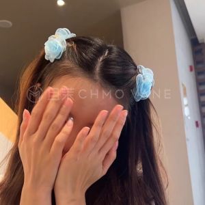 Sweet Dreamy Hair Clips Cute Little Flower Hair Accessories Fairy Tale Princess Style Hair Grips for Girls Original Design