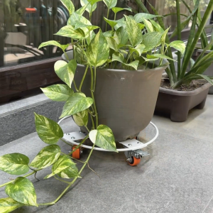 WARRIOR Round Heavy Duty Trolley w/ Safety locking wheel for Pot Plant 30 | 40cm dia (100kgs) SOLID