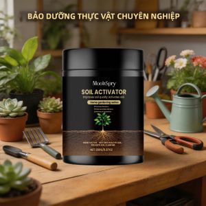 Chất Kích Hoạt Đất Dạng Hạt Tăng Cường Hiệu Quả Phân Bón Thúc Đẩy Hấp Thụ Cải Thiện Chất Lượng Đất Giải Quyết Tình Trạng Đầm Đặc Bổ Sung Chất Dinh Dưỡng