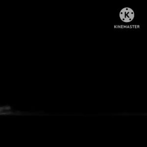 Celana Pendek Denim Pria: Desain Jeans Kasual & Bahan Denim Berkualitas