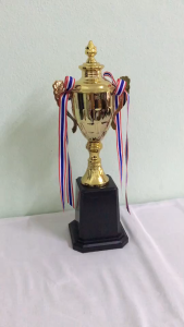 ถ้วยรางวัลอิตาลี มีฝา ความสูง 35-38 ซม. ราคาโคตรถูก ทำป้ายฟรี แจ้งข้อความทางแชททันนี้ที่กดสั่ง