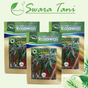 Benih Cabe Keriting CMK Tahan Virus JENIO Cap RAJAWALI Kemasan 15 gram