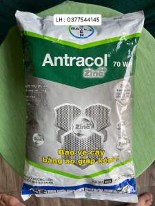Thuốc trừ bệnh Antracol 70WP ( gói 1Kg ) bảo vệ cậy bằng áo giáp kẽm