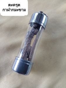 กาฝากต้นมะขาม 1ใน9ไม้กาฝากหายากมาก