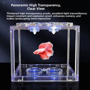 Mini Transparent Acrylic Fish Tank For Desktop Decoration