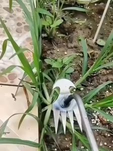 (ส่งฟรีทั่วไทย) คราดเก็บหญ้า อุปกรณ์ทำสวน คราดเหล็ก หัวคู่จอบขุดดิน 4-6 ฟัน ขุดหญ้า ขุดดิน ปลีก/ส่ง (จัดส่งจากประเทศไทย)