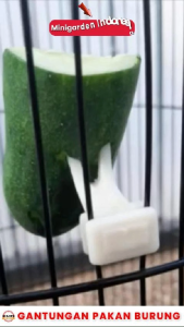GANTUNGAN BUAH SAYUR PAKAN BURUNG PLASTIK cantolan sangkar pengait pisang apel sawi timun di kandang