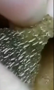 Bamboo Charcoal Blackhead Removing Mask (Peel-off type 60g) - Deeply cleanses removes blackheads and whiteheads balances excess oil brightens skin tone smooths skin and minimizes pores. Suitable for all skin types.