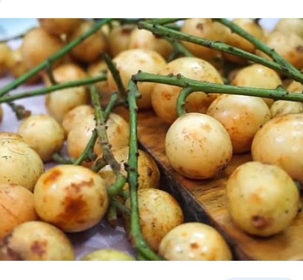 Buah%20menteng%20500%20gram%20buah%20kapundung%20buah%20langsat%20buah%20duku%20condet%20buah%20musiman%20buah%20langka%20-%20Image%206