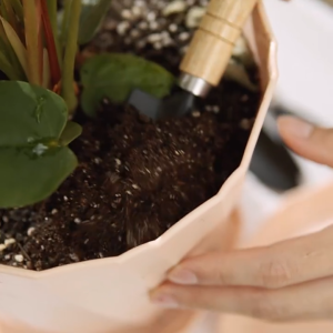 3Pcs Gardening Tools Set Plant Home Use Shovel Spade Rake Planting With Wooden Handle Gardening Planting Tool Garden Tool Set