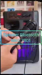 7801 SALON AKTIF SPEAKER BLUETOOTH KARAOKE PORTABLE SUPER BASS UKURAN 8 INCH BESAR GRATIS MIC DAN REMOT