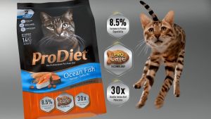 ProDiet Dry Cat Food Adult - Classic Tuna (8kg/ 500g x 16 Individual Inner Packs)