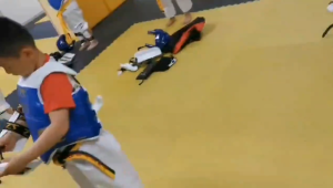 Taekwondo Arm Guard Protector