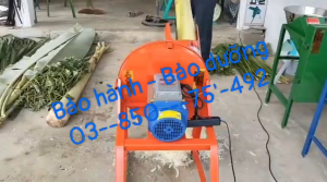 Máy xay chuối nguyên cây kích thước họng cho nguyên liệu 20cm