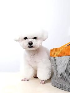 Portable Pet Carrier Handbags Dog Cat Small Animal Carrier Cage Travel Carrier Bag