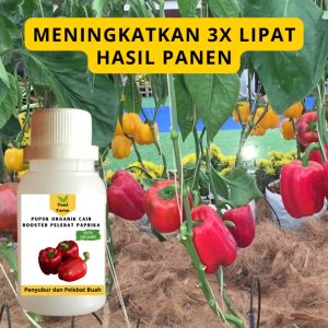 Pupuk Booster Paprika Cair: Cara Menggunakan Pupuk Berkualitas Tinggi