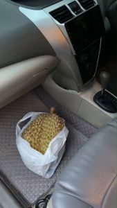 Wax one กลิ่นอาหารและกลิ่นไม่พึงประสงค์ในรถยนต์ 250ml