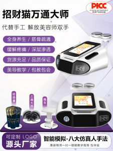 Wellbeing Cat Master Three-Way Channeling Device Micro-Electricity Balancing Facial Beauty Instrument Commercially Used