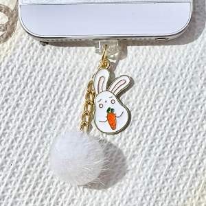 จุกกันฝุ่นมือถือ จุกกันฝุ่นหูฟัง iPhone iPad Android ปลั๊กกันฝุ่น Type C สำหรับ IPhone 15ขึ้นไป