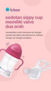 BBOX SIPPY CUP DISNEY LIMITED EDITION / gelas minum / sippy cup / B.box frozen / b.box olaf