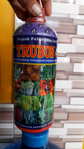 Been Sae Trubus Pupuk Pelengkap Cair