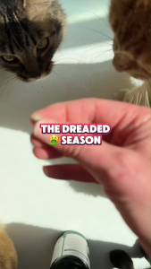 Thực phẩm bổ sung hỗ trợ tiêu hóa búi lông cho mèo VETS+BEST HAIRBALL RELIEF DIGESTIVE AID 180 chewable tablets 324g của Mỹ