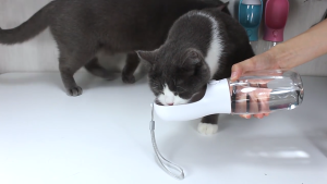 2-in-1 Pet Travel Canteen 550ml Water & 100g Food | Leak-Proof Lightweight Eco-Friendly Multi-Color