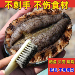 Powerful Cleaning Long Handle Oyster Brush Scallop Brush Kitchen Barbecue Rack Strong Cleaning Ability for Crabs And Shrimps
