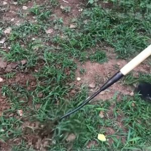 Pacul Kecil Cangkul Kecil Berkebun Besi Cangkul Pacul Garuk Gali Rumput Tanah Untuk Kebun Pertanian