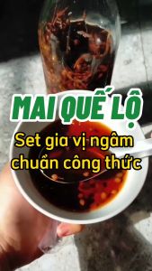 3 Set nguyên liệu ngâm mai quế lộ (9 vị + mật ong ngâm 1 lít) - Thảo dược Hạnh Nguyên