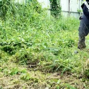 ใบตัดหญ้า ใบตัดหญ้า 6 แฉก 6 ใบมีด พับเก็บเองอัตโนมัติ เมื่อกระถบเจอกับของแข็ง 1. แบบใบมีด  2. แบบฟันเลื่อย พร้อมส่ง