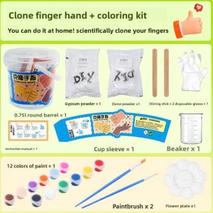 JIFANPAUL | DIY Science Model Hand Mold Childrens Toy