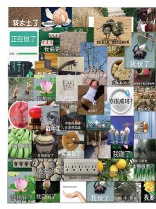 Gói Biểu Tượng Cảm Xúc Hài Hước Nổi Tiếng Trên Mạng 60 Tờ Giấy Dán Chống Thấm Điện Thoại Vali Sáng Tạo Cá Tính Đáng Yêu Emoji Điêu Khắc Cát