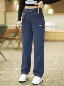 High-End Casual Pants Mens Spring Autumn Straight Leg Loose Elastic Sports Long Pants Summer Mid-Age Mens Comfortable Fit