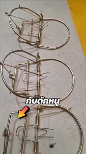 หนูหนีไม่รอด กับดักหนู กับเวียดนาม กับลาว 6นิ้วชนิดหนา สเตนเลส สีทอง 10 ปีก็ไม่แตก กับดักหนูโมดิฟาย