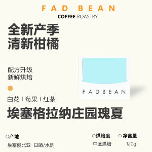Fadbean Wake Bean Gran Colombia Geisha SOE American Italian Hand Pour Cold Brew Coffee Beans Medium Roast 100g Bag