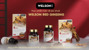 Thực phẩm bảo vệ sức khoẻ Hồng Sâm Hàn Quốc Đông Trùng Hạ Thảo Hỗ Trợ Tăng Cường Sức Đề Kháng Welson Red Ginseng 60 Viên