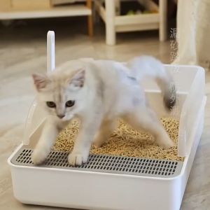 กระบะทราย แมว พร้อมที่ตักทราย ห้องน้ำแมว สำหรับแมว สำหรับสัตว์เลี้ยง