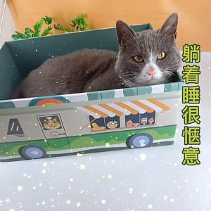 ที่ฝนเล็บแมวรูปทรงรถโรงเรียน รถเข็นผัก ที่ลับเล็บแมว ทำจากระดาษลูกฟูก แผ่นฝนเล็บเป็นที่นอนได้