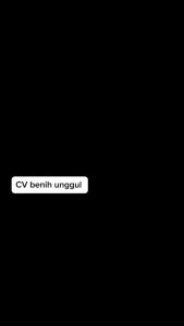 Bibit Jambu Kristal Tanpa Biji Super Okulasi