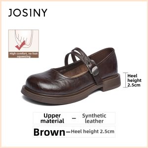 Josiny | Black Thick Sole British Style Mary Jane Shoes