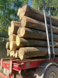 Natural Pine Wood Floating DIY Wall Storage Shelf/Wardrobe Rack/Table Top (1.7cm thick Original Beige colour)