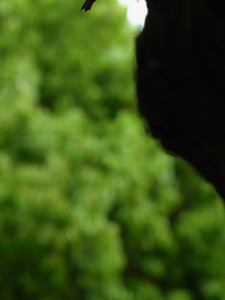 Mountain Outdoor camping Castle Tent  inflatable tent family tent luxury large tent 17.6 square meters round camping tent 8-12 people waterproof sunscreen