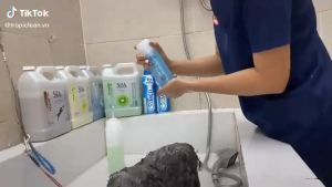 Dung dịch tẩy vết ố mắt cho chó mèo Tropiclean Tear Stain Remover - 50ml xuất xứ Mỹ